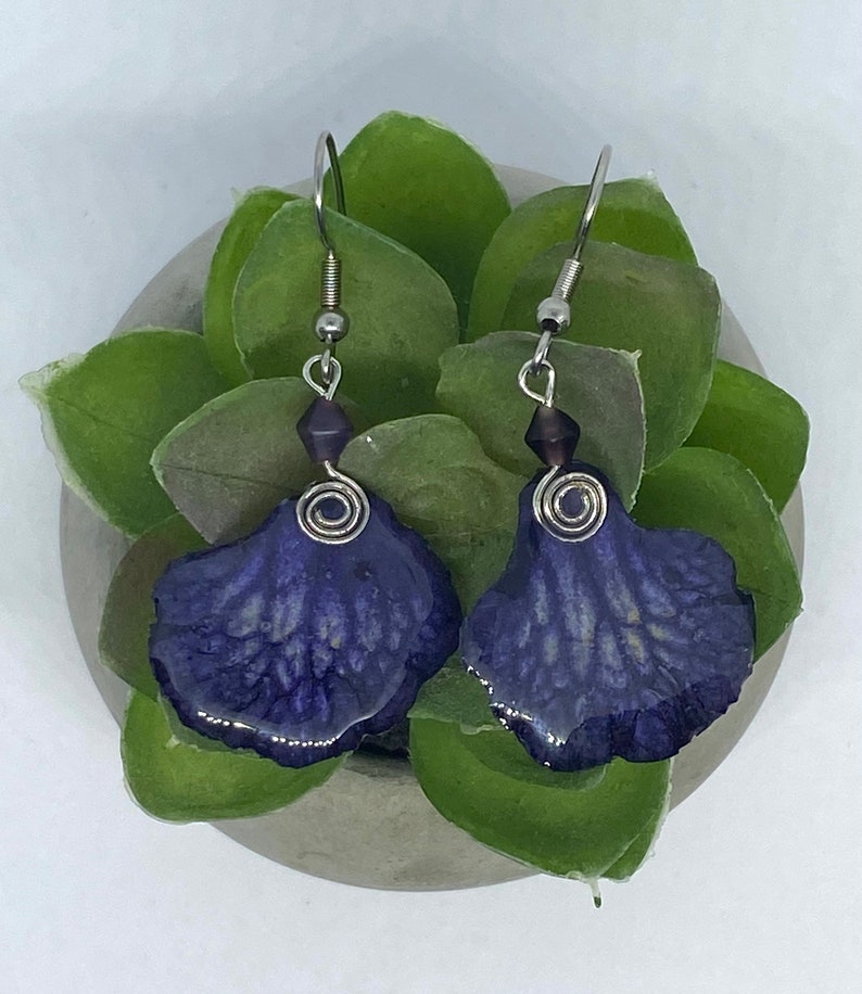 Real Flower Earrings Streptocarpus and resin #13
