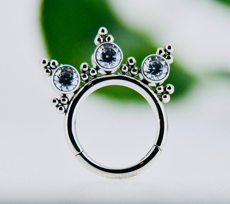 Body piercing 316L SS Crystal Design Segment Ring Conch Tragus hoop Septum clicker Daith Nose ring 16g Hinged Rook