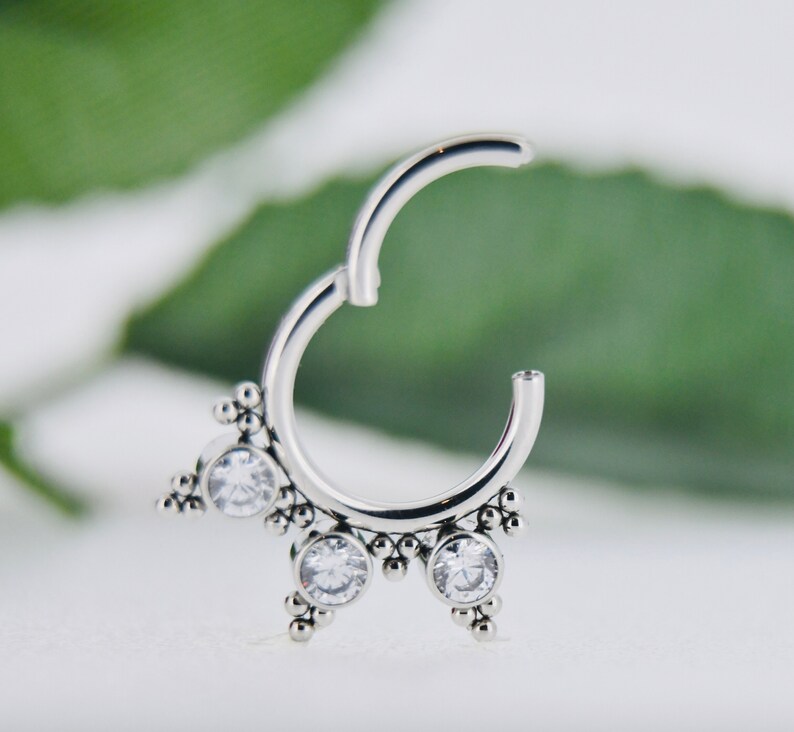 Body piercing 316L SS Crystal Design Segment Ring Conch Tragus hoop Septum clicker Daith Nose ring 16g Hinged Rook