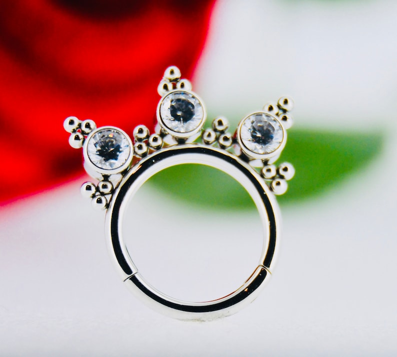 Body piercing 316L SS Crystal Design Segment Ring Conch Tragus hoop Septum clicker Daith Nose ring 16g Hinged Rook
