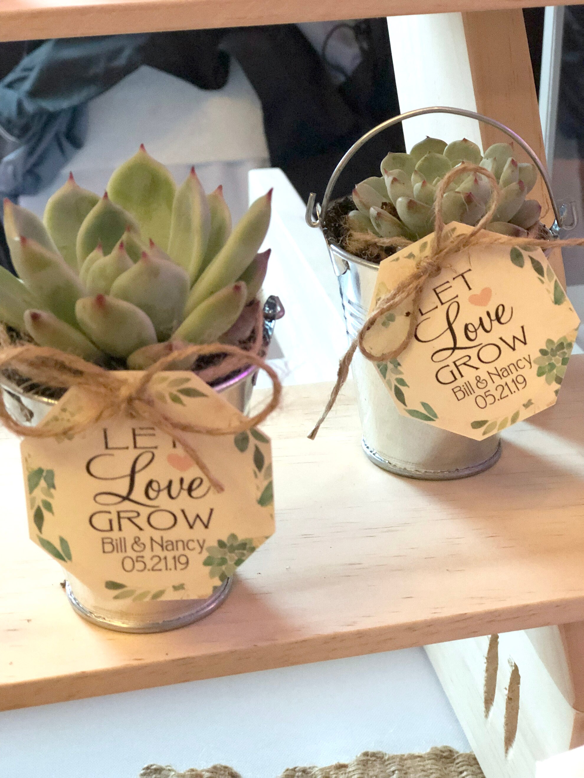 Succulent Favor Tags Wedding Favor Tags Thank You Tags Etsy Singapore