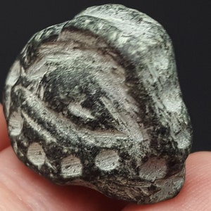 Testa di animale mitologica in pietra nera scolpita in stile vicino-orientale #CP107 c