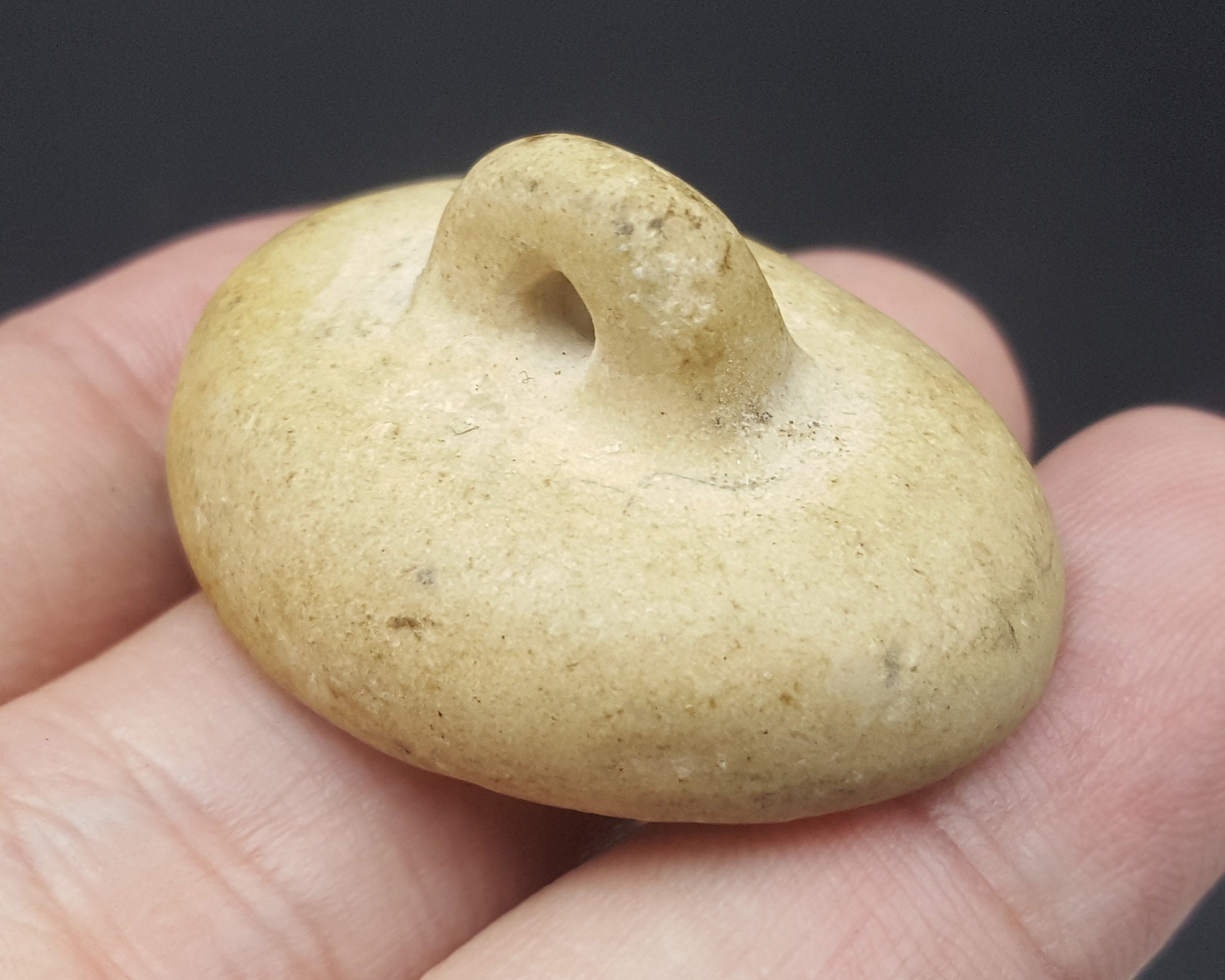 素晴らしい古代ササン朝近東神話の野生動物のインタリオ石印章 #CP385