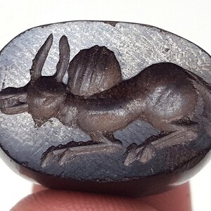 Meraviglioso timbro a cupola con intaglio di cervo del Vicino Oriente #CP804c