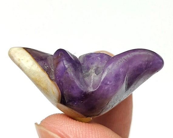 Rare Style PYU Culture HandCarved Tulip Flower Am… - image 2