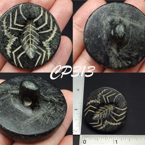 Antico timbro inciso su pietra nera con ragno battriano del Vicino Oriente CP313c