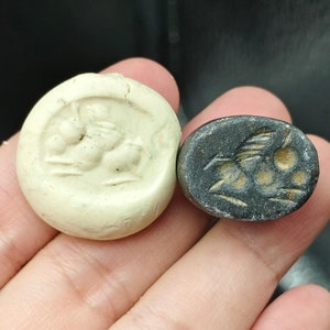 Merveilleuse perle de timbre de phoque animal en pierre noire pégase en taille-douce de la Grèce antique romaine antique # CP867