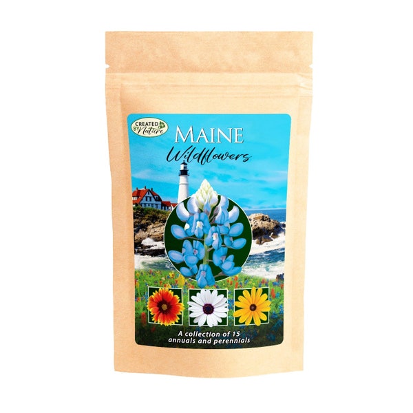 Maine Wildflower Seed Mix - Premium collection of 15 Varieties