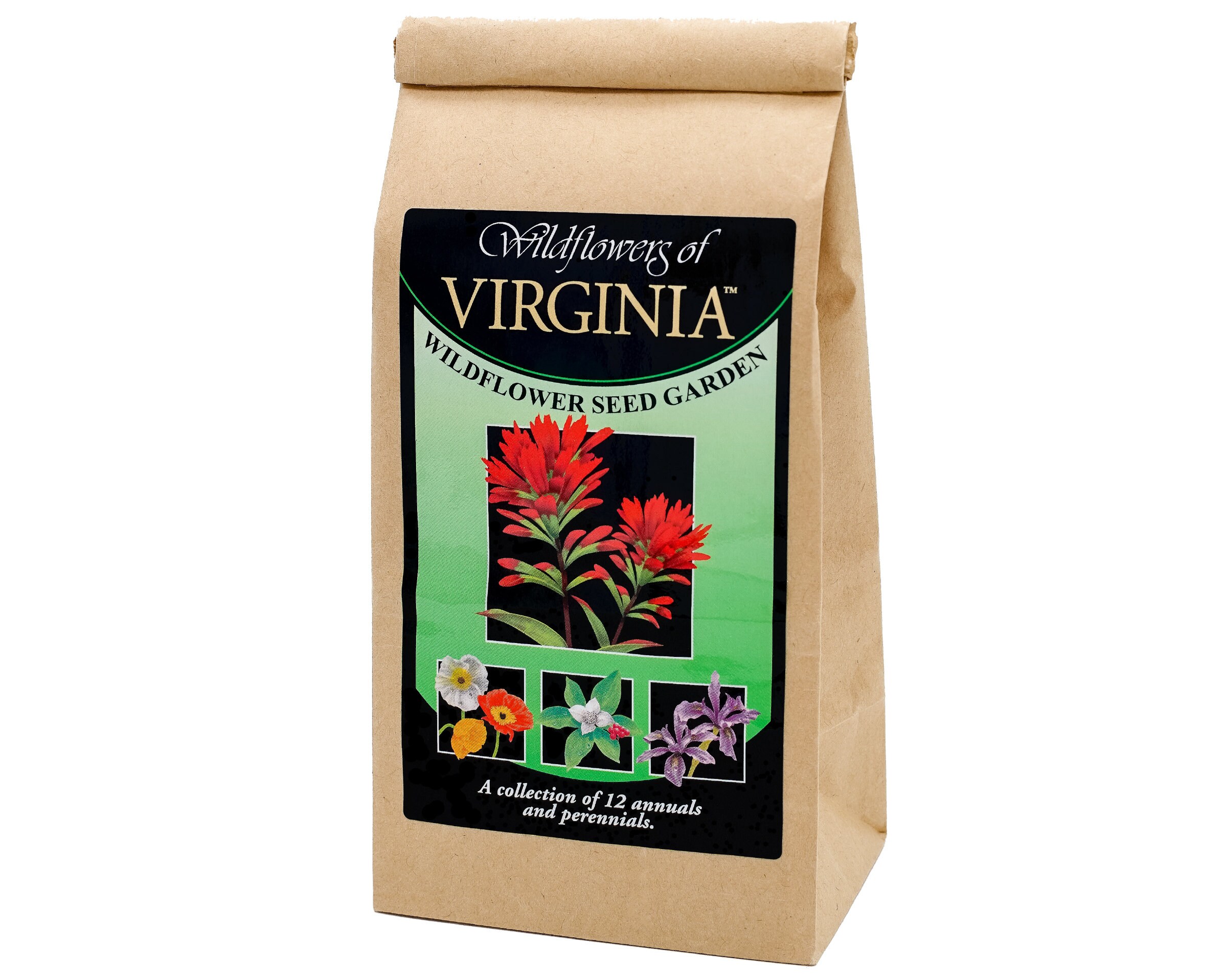Virginia Wildflower Seed Mix A beautiful collection of 12 Etsy