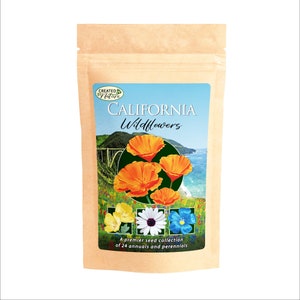 California Wildflower Seed Mix - Over 54,000 Seeds