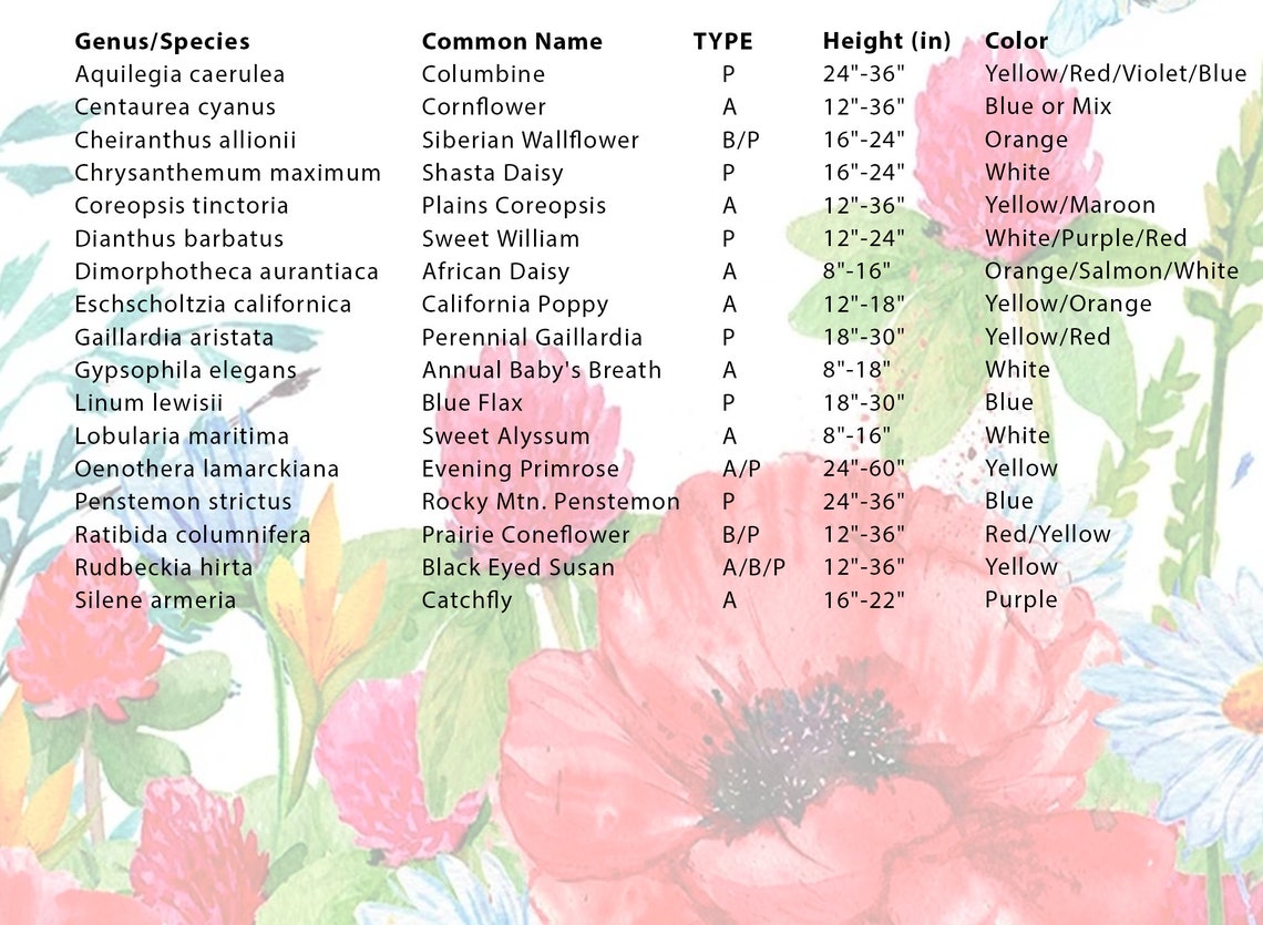 Colorado Wildflower Seed Mix Premium Collection of 24 Etsy