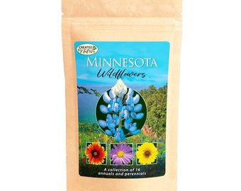 Minnesota Wildflower Seed Mix - Premium collection of 16 Varieties