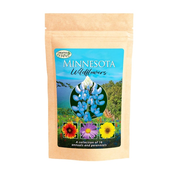 Minnesota Wildflower Seed Mix - Premium collection of 16 Varieties