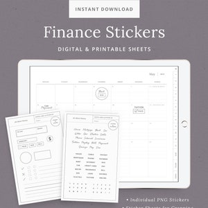 Digital Stickers for Finance Planner - GoodNotes, Notability, Stickers for Agenda, and Weekly Organizers - iPad Tablet - Instant Download