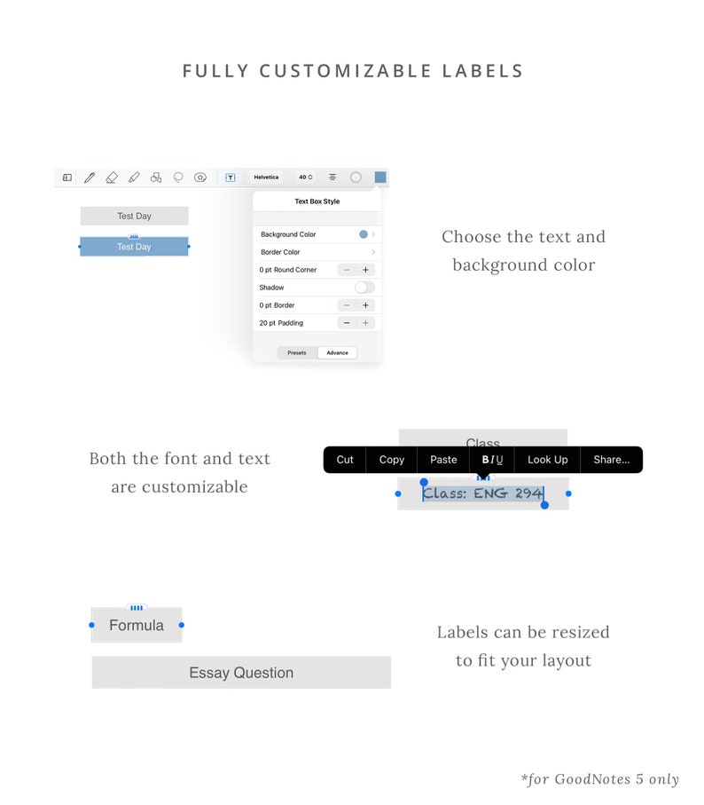 Academic Digital Stickers Smart Stickers for Students GoodNotes file Customizable Icons and Labels Minimal and Modern Dash Planner image 5