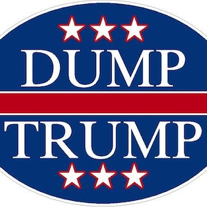 Adesivo riflettente o opaco in vinile Dump Trump 2024. Auto, portatile, elezioni presidenziali politiche, anti-Trump, pro-democrazia