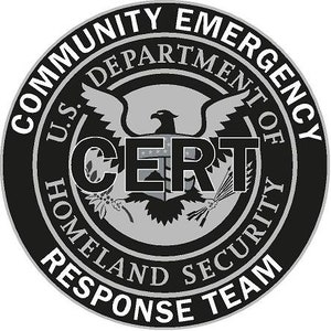 Subdued Community Emergency Response Team DHS Reflective or Matte Vinyl Decal Sticker CERT Homeland Security