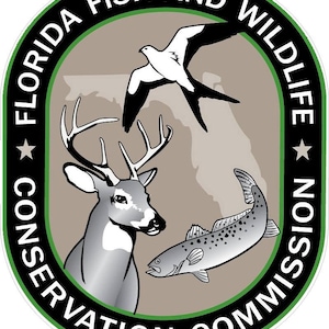 Commissione per la conservazione del pesce e della fauna selvatica della Florida. Guardiano, Park Ranger, Fauna selvatica. Adesivo in vinile riflettente o opaco