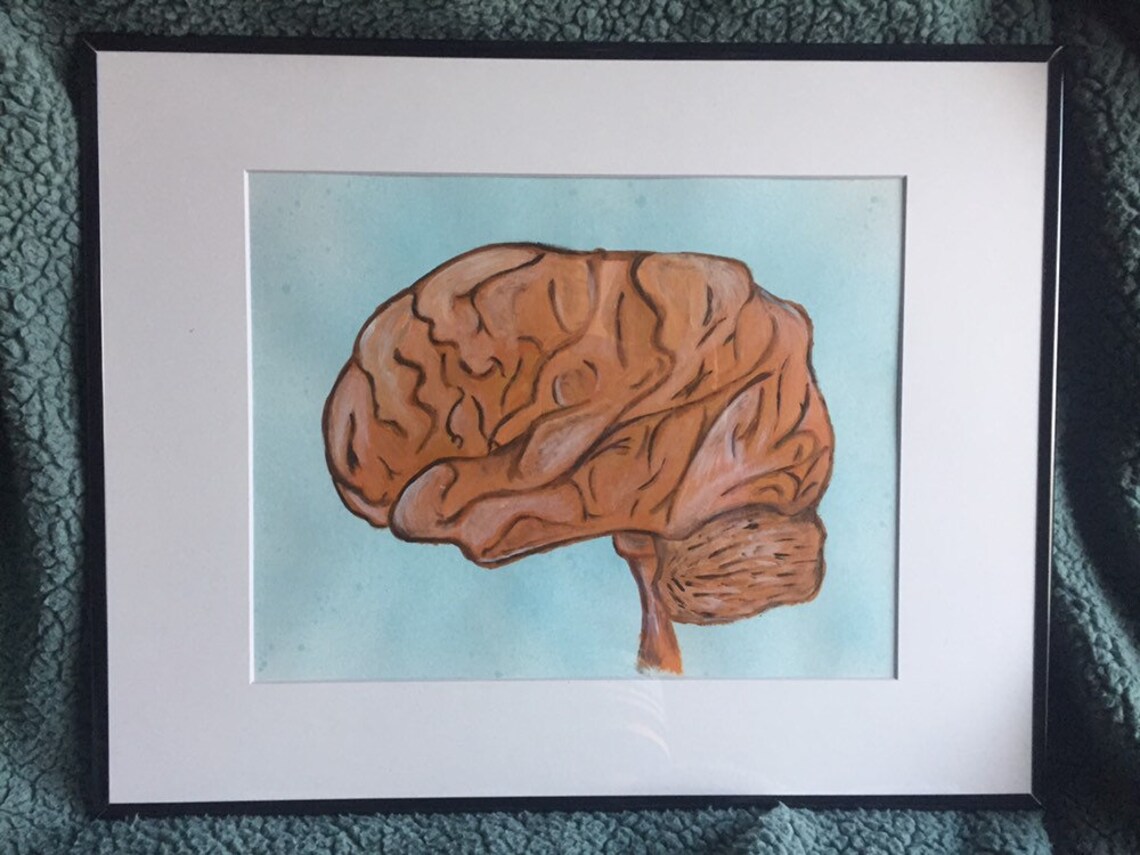 Human Brain Original Acrylic Painting Matted with Frame Etsy
