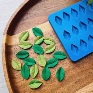 Silicone mold of Blueberry leaf, style 2, 15 elements, ~ 1*1.6cm, H:0.3cm,Modeling tool for accessories,jewelry,decor,Shape for polymer clay