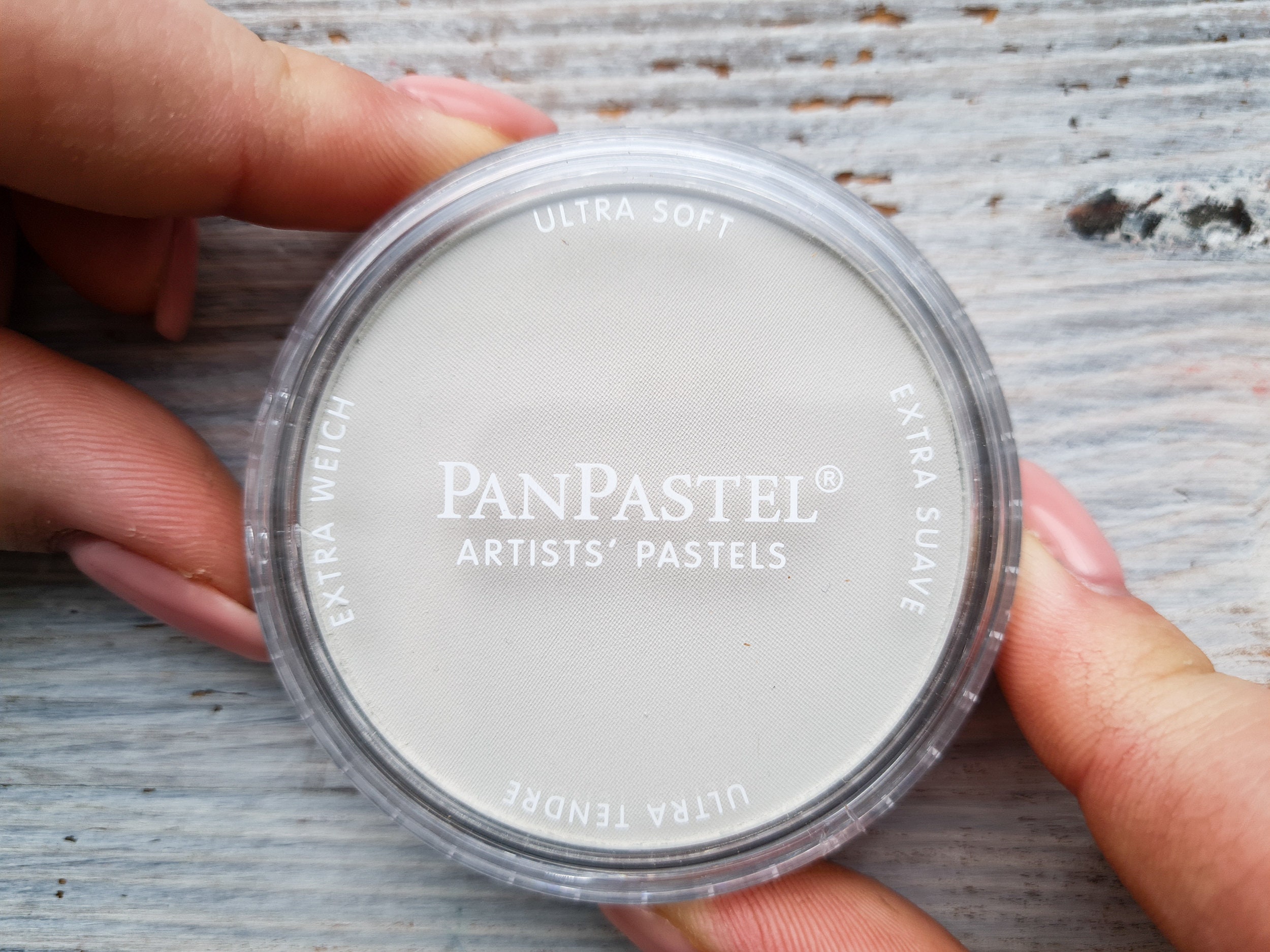PanPastel Teinte Ombre Brute - Pastel Artiste Beige Froid Pour Portraits & Paysages