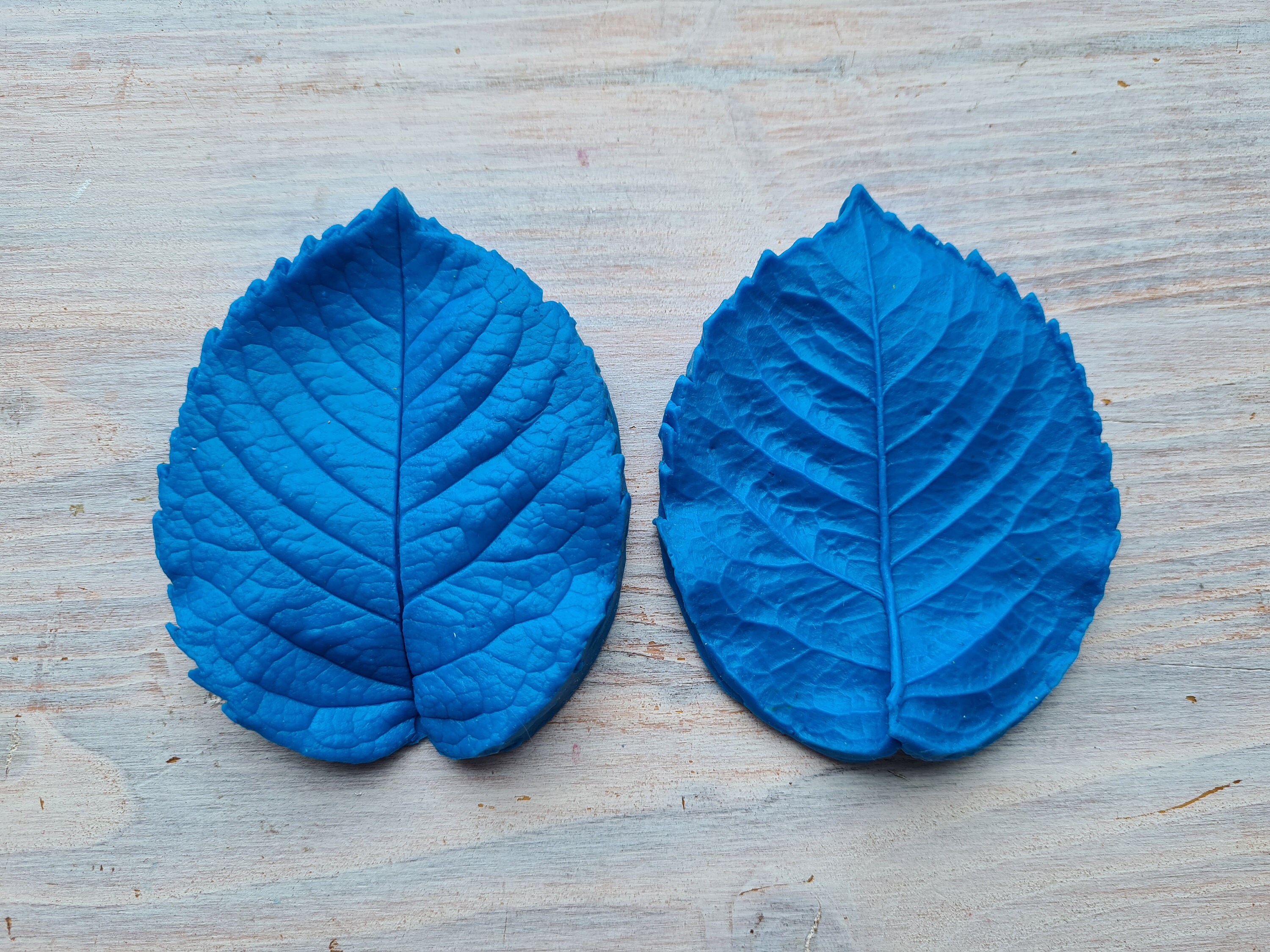 Rose leaf veiner/mold 28х21 cm (11x8,3 inches) №6 - pattern for foamir