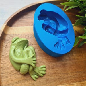 Könnte beinhalten: Eine grüne Froschfigur neben einer blauen Silikonform in Form eines Frosches. Die Froschfigur ist zusammengerollt. Die ovale Form liegt auf einem Holztablett. Die Figur ist etwa 7 cm lang.