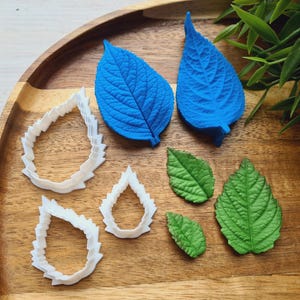 Op de afbeelding: Een set blaadjesvormige koekjesuitstekers en fondantvormen. De uitstekers zijn wit en de vormen zijn blauw en groen.