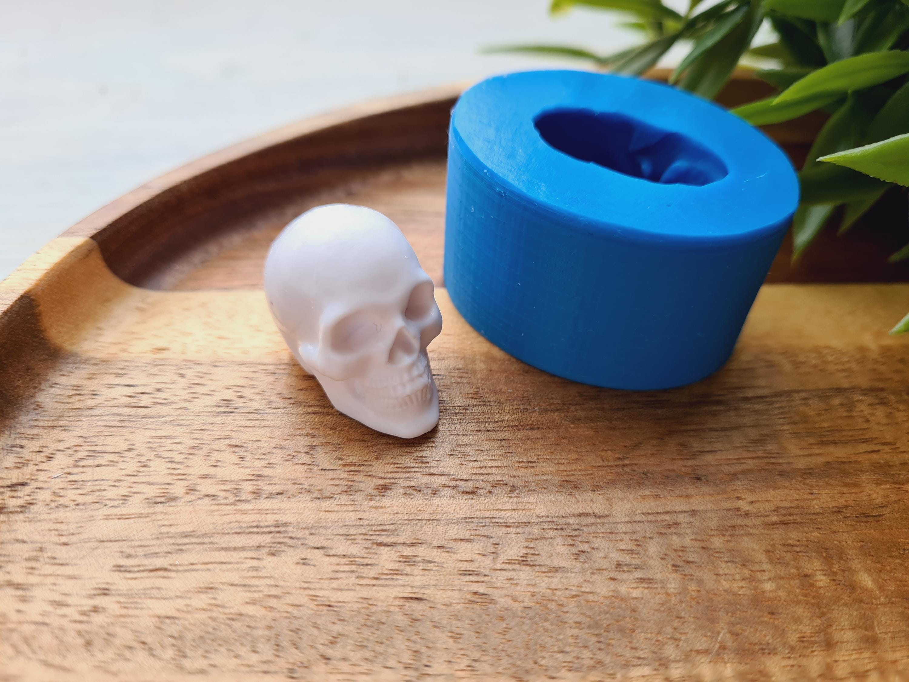 Teschio umano realistico Modello 3D $59 - .fbx .obj .ztl .ma