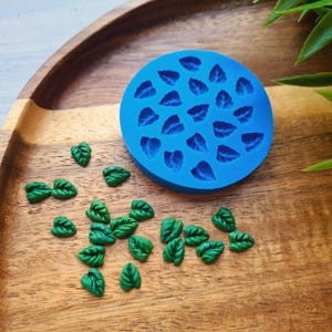 May include: A blue silicone mold with 20 leaf shapes, and a scattering of green leaf-shaped polymer clay pieces on a wooden surface.