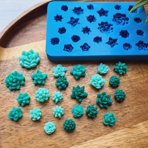 Silicone mold of Succulent, style 19, 24 elements, ~ Ø 0.9-1.8cm, H:0.5-0.8cm, Modeling tool for accessories,jewelry,Shape for polymer clay
