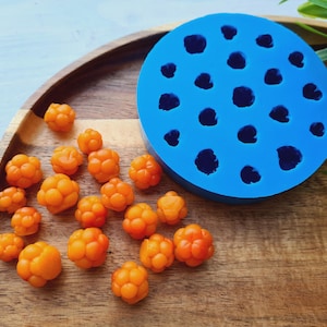 Puede incluir: Un molde de silicona azul con 18 cavidades redondas para hacer pequeños dulces redondos u otras golosinas. Una bandeja de arándanos rojos naranjas están esparcidos alrededor del molde.