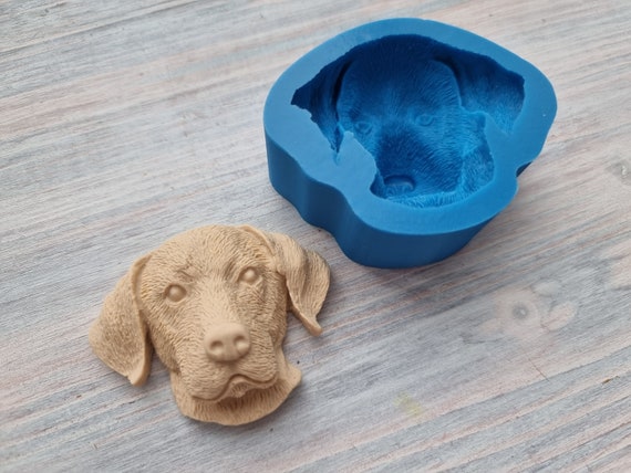 Labrador accessories india 2025