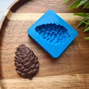 May include: A blue silicone mold shaped like a pine cone, next to a brown chocolate pine cone.
