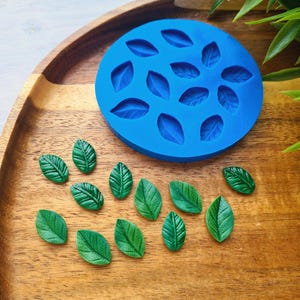 Silicone mold of Blueberry leaf, style 1, 12 elements, ~ 0.9-1.7 cm, H:0.3 cm, Modeling tool for accessories, jewelry,Shape for polymer clay