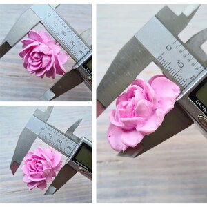 May include: Close-up of a pink flower measuring approximately 2.5 cm in diameter. The flower is being measured with a caliper.