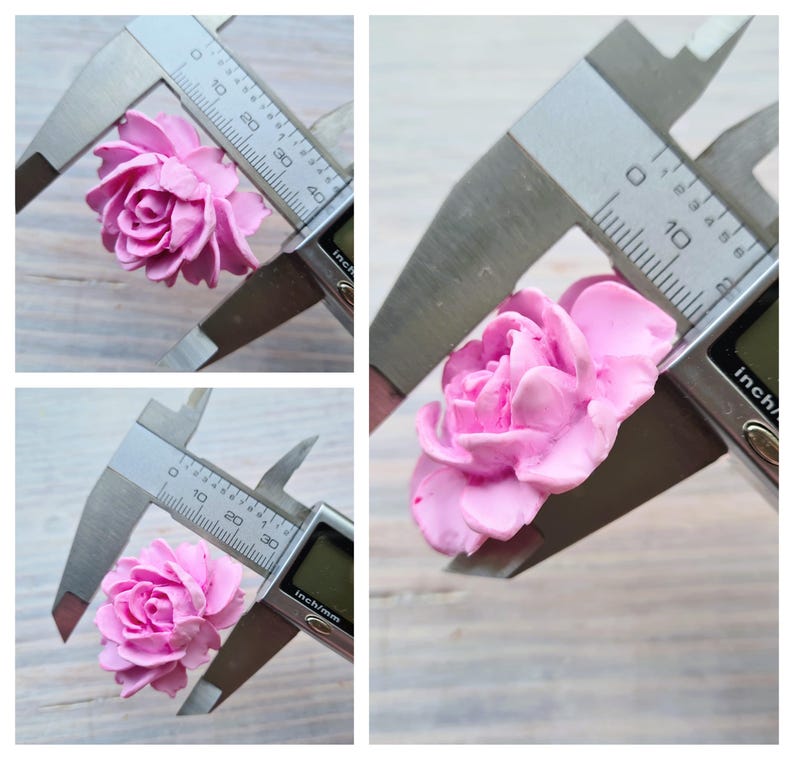 May include: Close-up of a pink flower measuring approximately 2.5 cm in diameter. The flower is being measured with a caliper.