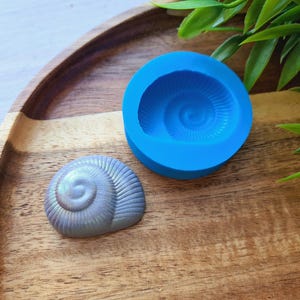 May include: A blue silicone mold shaped like a seashell with a spiral pattern. A pearly white seashell with a similar spiral pattern is next to the mold.