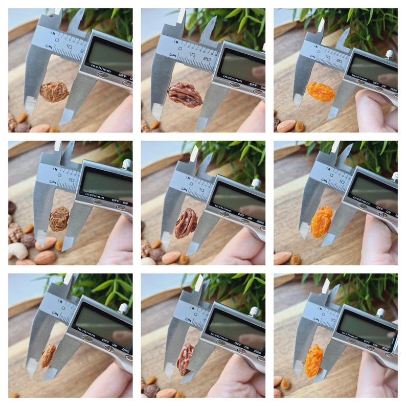 May include: Close-up of nine images showing a digital caliper measuring the size of various dried fruits. The fruits are a mix of orange and brown colors.
