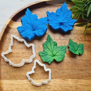 Può includere: Un set di cinque tagliapasta a forma di foglia, due sono di plastica bianca e tre sono di pasta di zucchero. Le foglie di pasta di zucchero sono blu e verdi.
