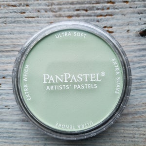 May include: A round, green pastel stick in a clear plastic container. The container has the text "PanPastel® Artists' Pastels" printed on it. The text "Ultra Soft" and "Extra Suave" are printed around the edge of the container.