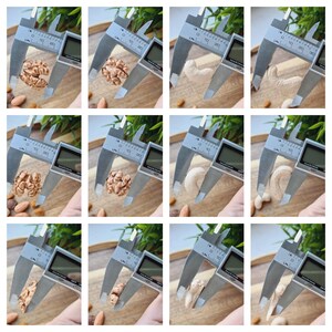 May include: Close-up of a set of calipers measuring the size of various nuts and seeds. The nuts and seeds are arranged in a grid pattern on a wooden surface. The calipers are silver and have a black digital display.