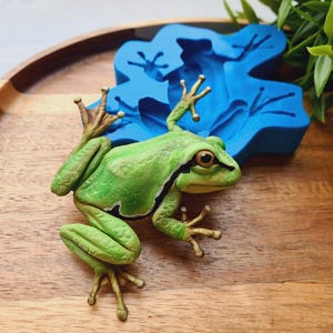 Silicone mold of Frog, style 1, ~ 7*9 cm, H:1.5 cm, Resin, Polymer Clay, Kawaii Mini Frog Cabochon Mold, UV Epoxy, Jewelry, Cute Animal Mold