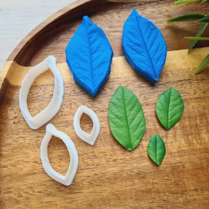 Op de afbeelding: Een set bladeren-vormige koekjesuitstekers en fondant uitstekers in blauw en groen. De uitstekers zijn gerangschikt op een houten oppervlak.