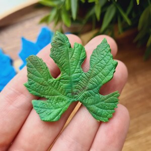May include: A single green leaf with a detailed vein pattern. The leaf is held in a hand, with the background out of focus.