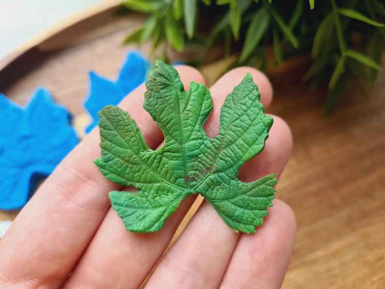 May include: A single green leaf with a detailed vein pattern. The leaf is held in a hand, with the background out of focus.