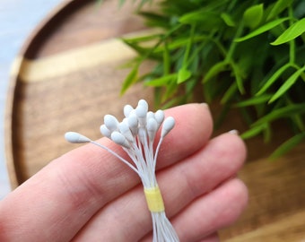 Stamens (large), white, 3 mm, ~ 20 stamens, Decorative pistils