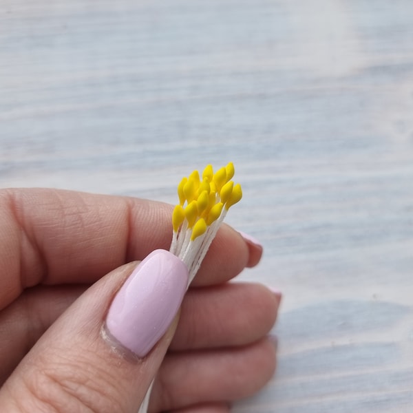 Stamens, yellow, sharp, ~ 20 stamens, Decorative pistils