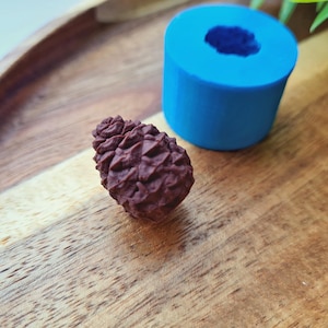 May include: A brown pine cone shaped resin mold with a blue silicone mold in the background.