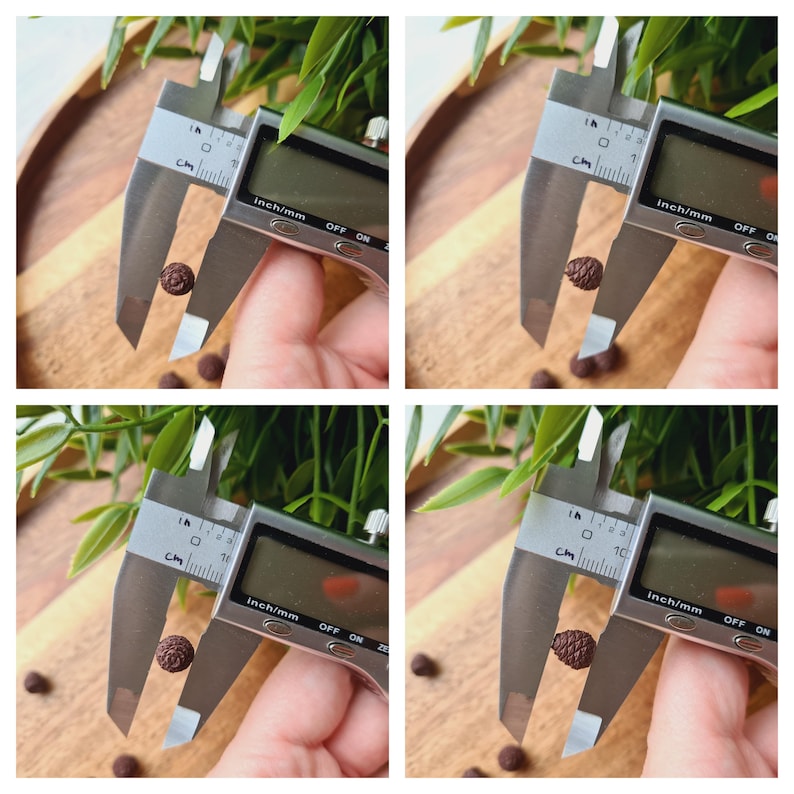 Pode incluir: Close-up de um objeto redondo marrom sendo medido com um paqu&iacute;metro digital. O paqu&iacute;metro mostra "Inch/mm" e uma medida de 1,27 cm.